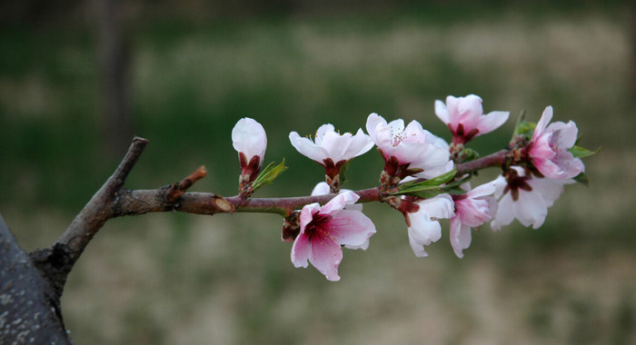 三月青海湖适合旅游吗【三月适合去青海哪里】