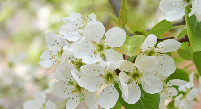 三月青海湖适合旅游吗【三月适合去青海哪里】