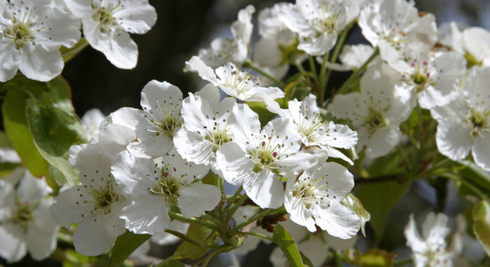 三月青海湖适合旅游吗【三月适合去青海哪里】