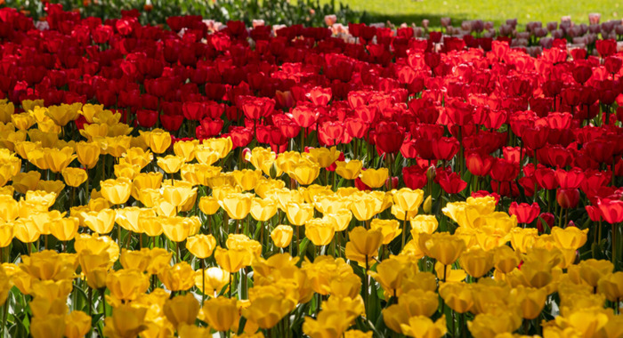 三月青海湖适合旅游吗【三月适合去青海哪里】