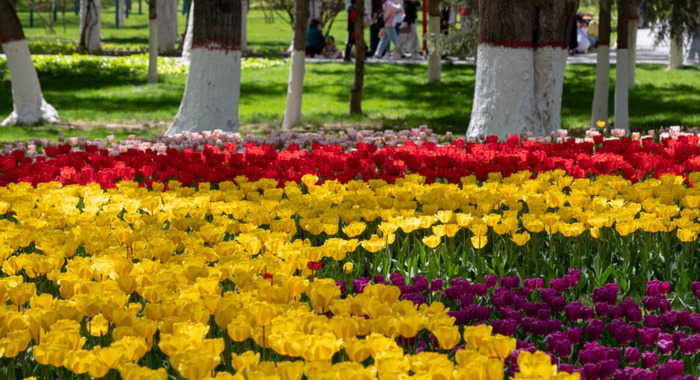 三月青海湖适合旅游吗【三月适合去青海哪里】