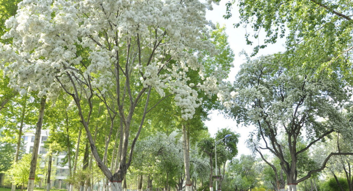 三月青海湖适合旅游吗【三月适合去青海哪里】