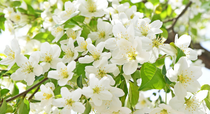 三月青海湖适合旅游吗【三月适合去青海哪里】