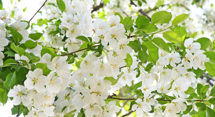 三月青海湖适合旅游吗【三月适合去青海哪里】