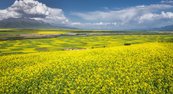 三月青海湖适合旅游吗【三月适合去青海哪里】