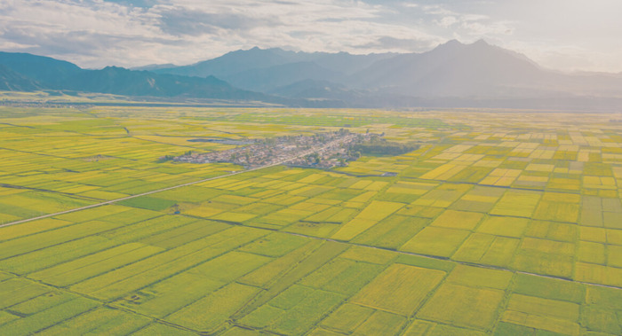 三月青海湖适合旅游吗【三月适合去青海哪里】