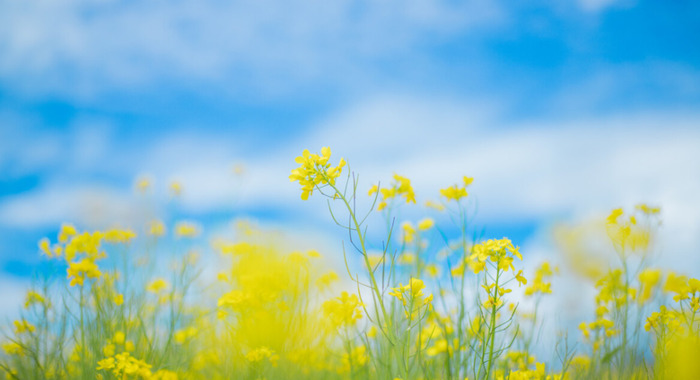 三月青海湖适合旅游吗【三月适合去青海哪里】