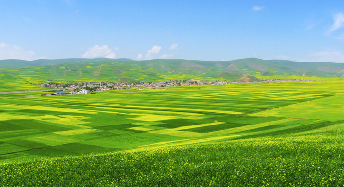 三月青海湖适合旅游吗【三月适合去青海哪里】