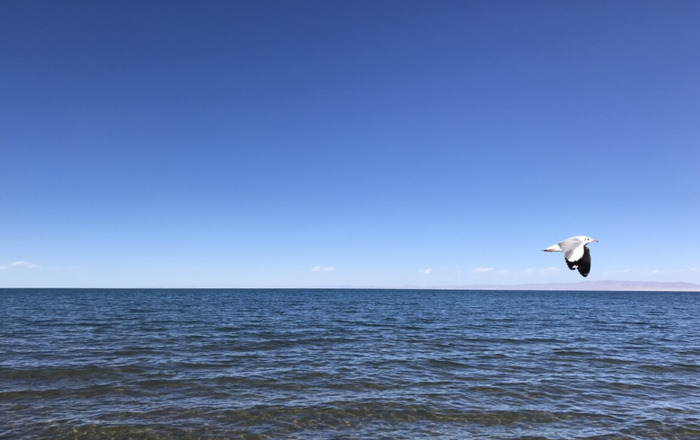 三月青海湖适合旅游吗【三月适合去青海哪里】