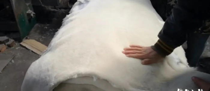 海宁哪里卖皮草【买皮草到海宁哪里】