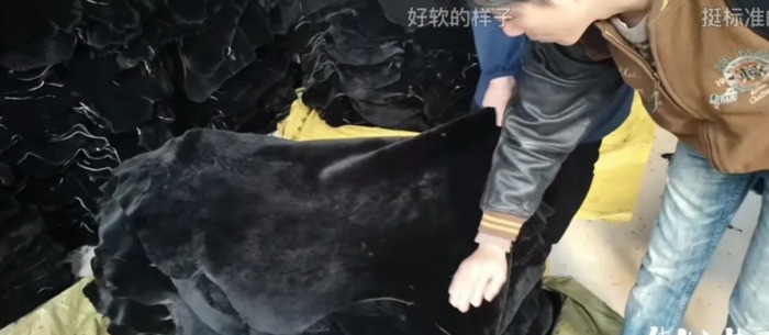 海宁哪里卖皮草【买皮草到海宁哪里】