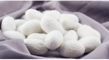 蚕丝被多少钱一斤合适【蚕丝被多少钱1斤】