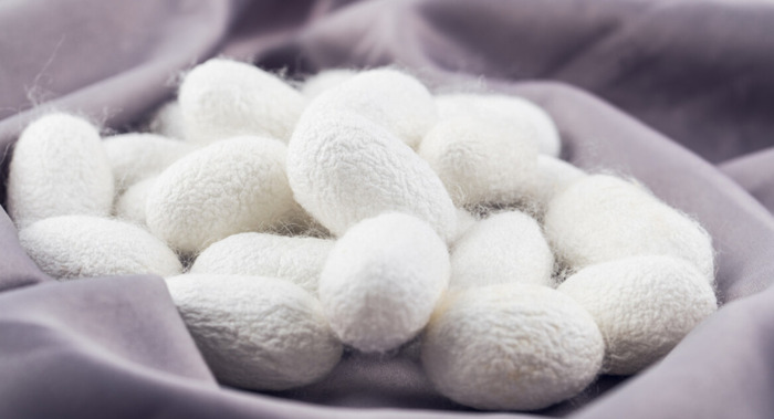 蚕丝被多少钱一斤合适【蚕丝被多少钱1斤】