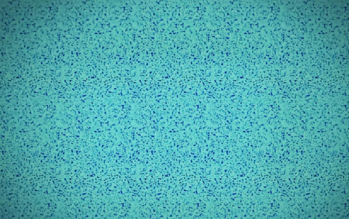 立体构成点的作业图片【关于点的立体构成作业】