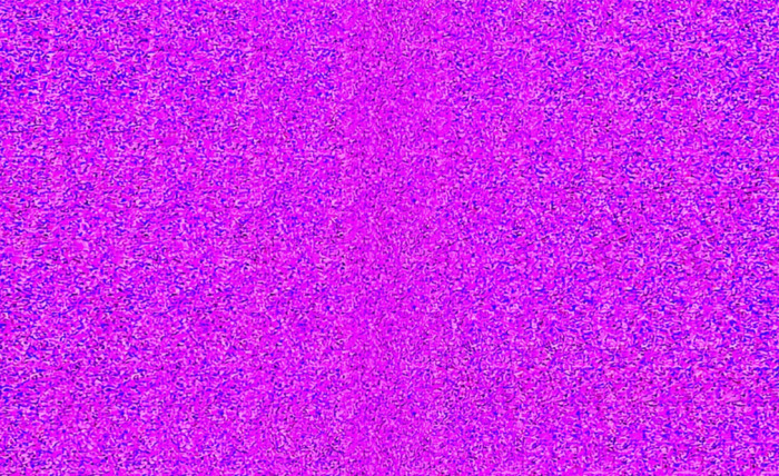 立体构成点的作业图片【关于点的立体构成作业】