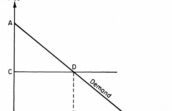 sunkist什么牌子【sunkist什么意思】