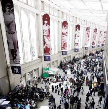 纽约扬基【纽约扬基队】