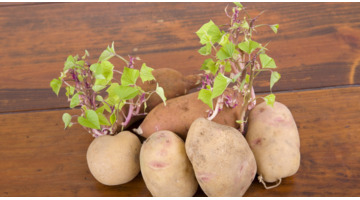 真空收纳袋可以重复使用吗【真空收纳袋是不是一次性的】