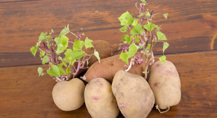 真空收纳袋可以重复使用吗【真空收纳袋是不是一次性的】