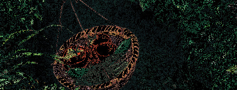 真空收纳袋可以重复使用吗【真空收纳袋是不是一次性的】