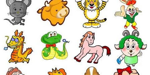 生肖神数【生肖神数基础知识】