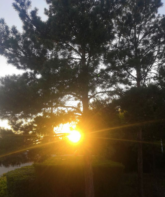 如果声音不记得辛唐最后活了没有【如果声音不记得最后辛唐活过来了吗】