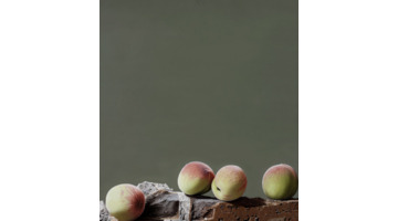 饕餮与水蜜桃【饕餮与水蜜桃为什么不写了】