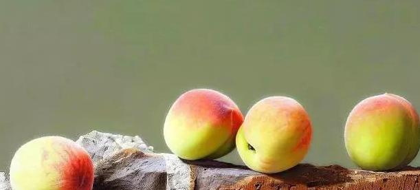 饕餮与水蜜桃【饕餮与水蜜桃为什么不写了】