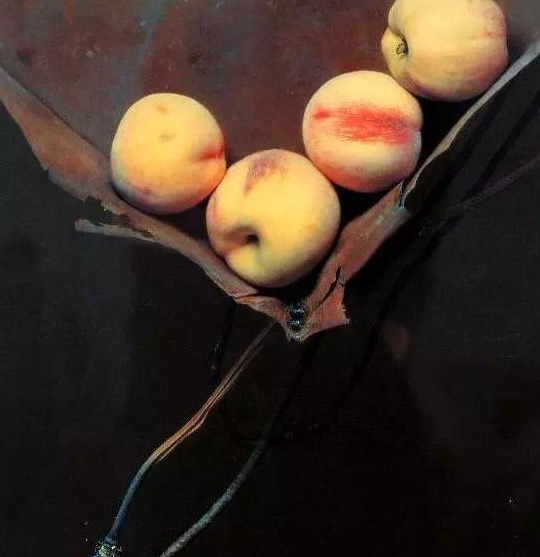 饕餮与水蜜桃【饕餮与水蜜桃为什么不写了】