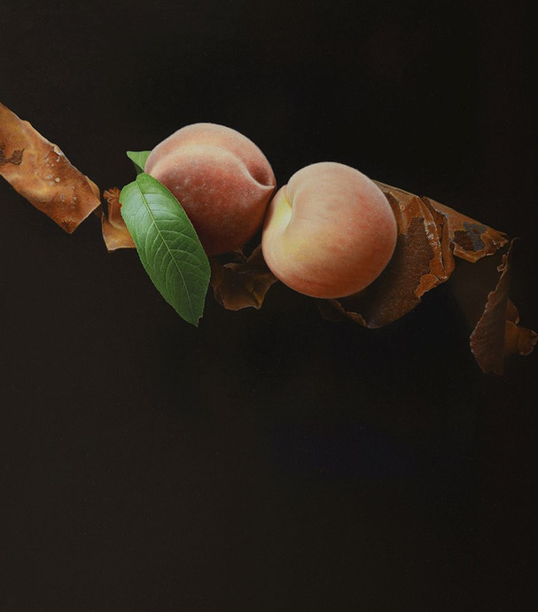 饕餮与水蜜桃【饕餮与水蜜桃为什么不写了】