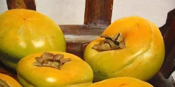 饕餮与水蜜桃【饕餮与水蜜桃为什么不写了】