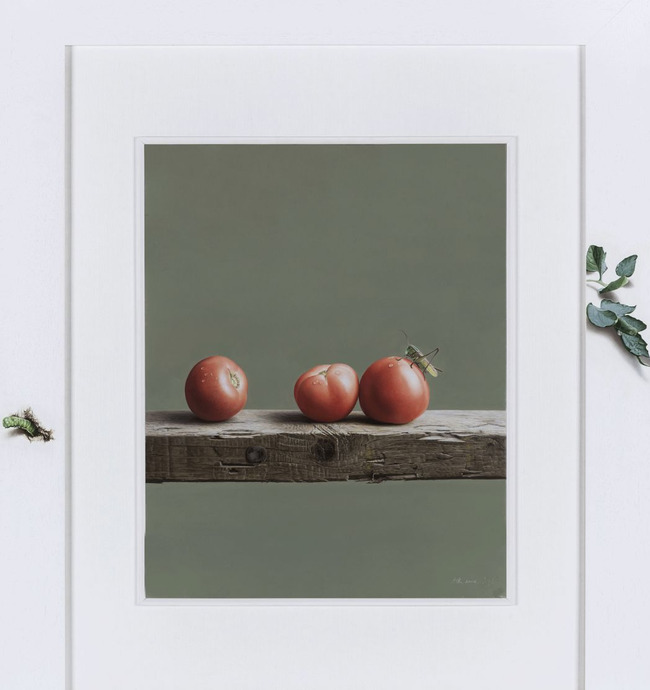 饕餮与水蜜桃【饕餮与水蜜桃为什么不写了】