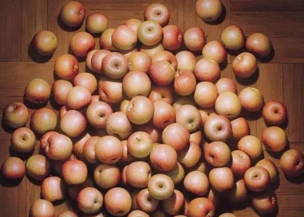 饕餮与水蜜桃【饕餮与水蜜桃为什么不写了】