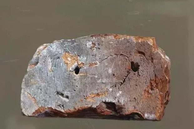 饕餮与水蜜桃【饕餮与水蜜桃为什么不写了】