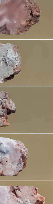 饕餮与水蜜桃【饕餮与水蜜桃为什么不写了】