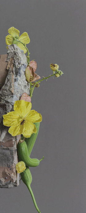 饕餮与水蜜桃【饕餮与水蜜桃为什么不写了】