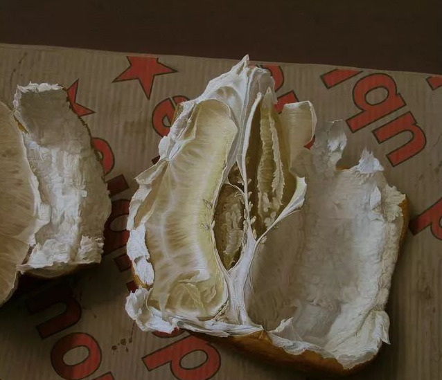 饕餮与水蜜桃【饕餮与水蜜桃为什么不写了】