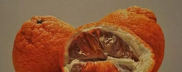 饕餮与水蜜桃【饕餮与水蜜桃为什么不写了】