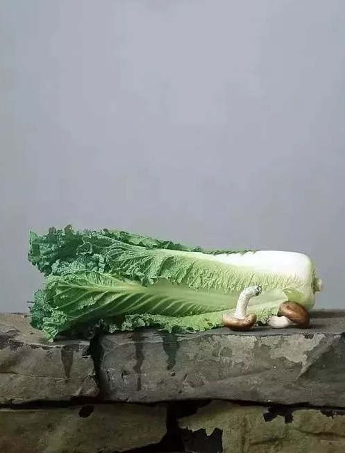 饕餮与水蜜桃【饕餮与水蜜桃为什么不写了】