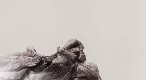 饕餮与水蜜桃【饕餮与水蜜桃为什么不写了】