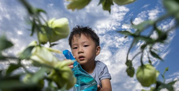 熠字取名的禁忌【熠字取名的禁忌生肖】