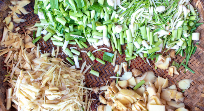 鸽子哪五种人不能吃鸽子和子【鸽子哪五种人不能吃白鸽炖王芪可以吗?】