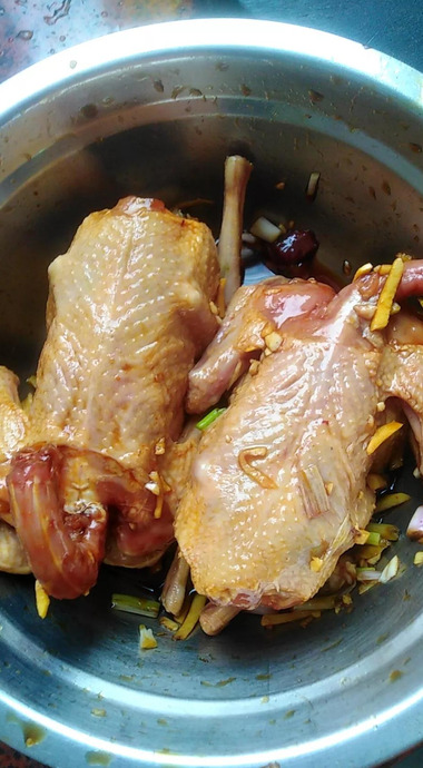 鸽子哪五种人不能吃鸽子和子【鸽子哪五种人不能吃白鸽炖王芪可以吗?】