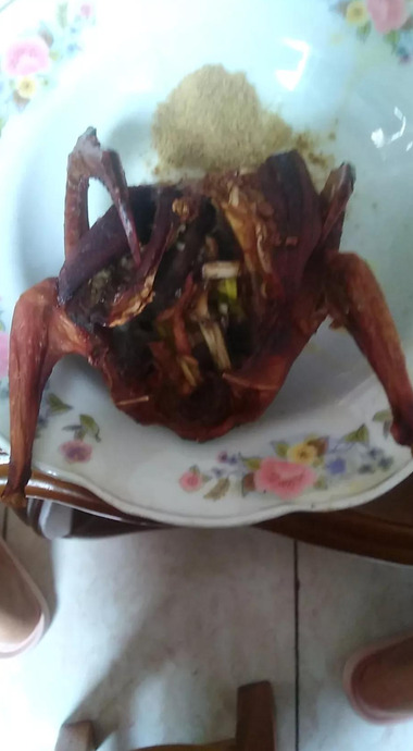 鸽子哪五种人不能吃鸽子和子【鸽子哪五种人不能吃白鸽炖王芪可以吗?】