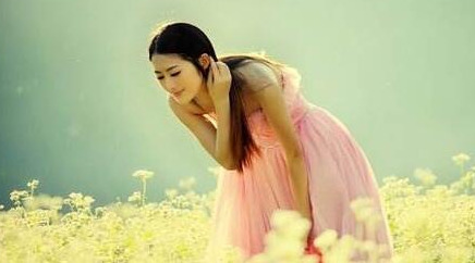 铁石心肠打一动物【铁石心肠打一动物生肖】