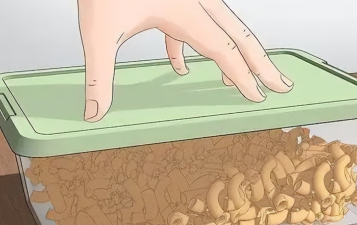 家里有老鼠怎么办能除根【如何彻底消灭家里的老鼠】