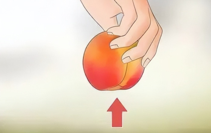 家里有老鼠怎么办能除根【如何彻底消灭家里的老鼠】