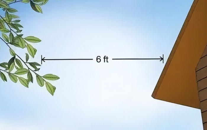 家里有老鼠怎么办能除根【如何彻底消灭家里的老鼠】