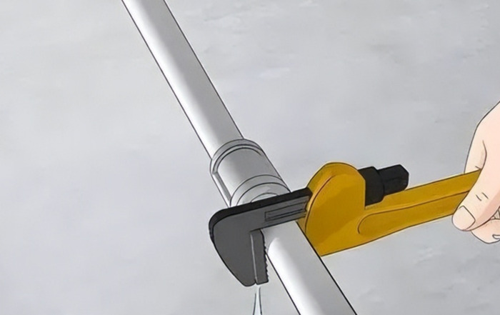 家里有老鼠怎么办能除根【如何彻底消灭家里的老鼠】