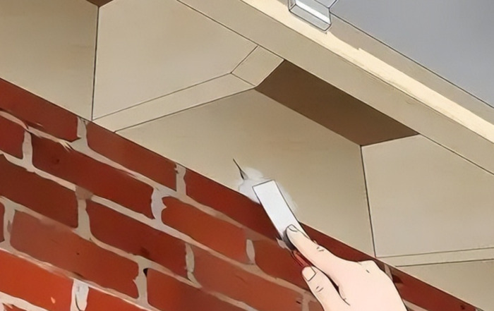 家里有老鼠怎么办能除根【如何彻底消灭家里的老鼠】